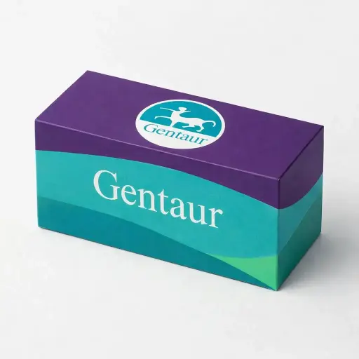 Kaltfusions-Klonkit mit kompetenten Zellen – 20 Reaktionen
