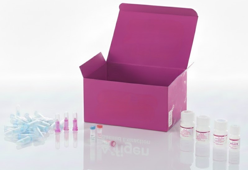 [0763-E-EL-H0109-96T] Kit ELISA de TNF humano α (Factor de Necrosis Tumoral Alfa) - Placas de 96 Pozos